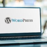 Descopera Costurile Implicate in Crearea unui Site WordPress min